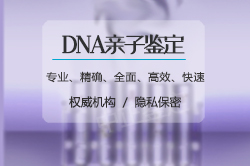衡阳司法亲子鉴定结果需要多久